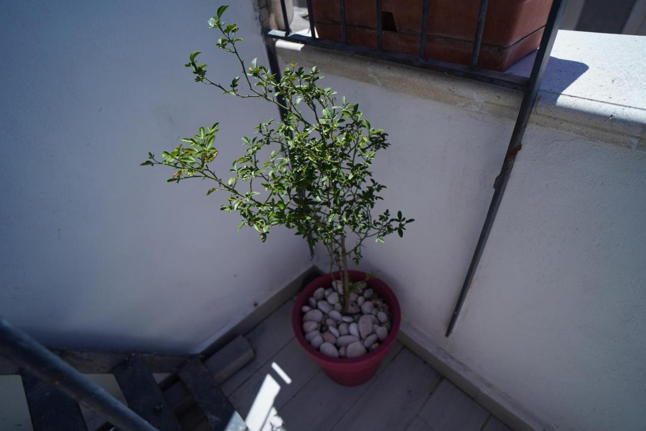 Casa Delle Rondini Apartment *