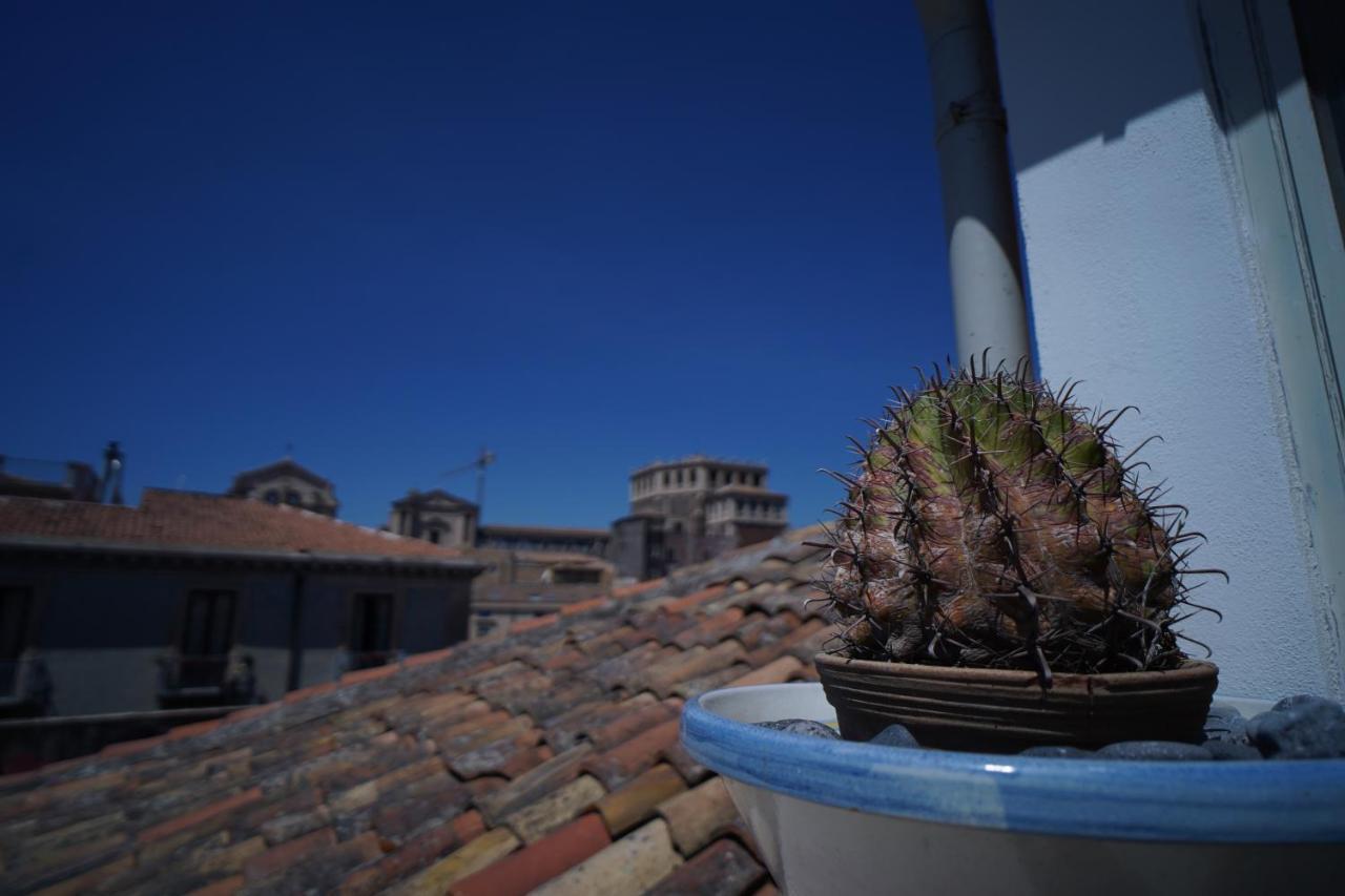Casa Delle Rondini Appartement Catánia