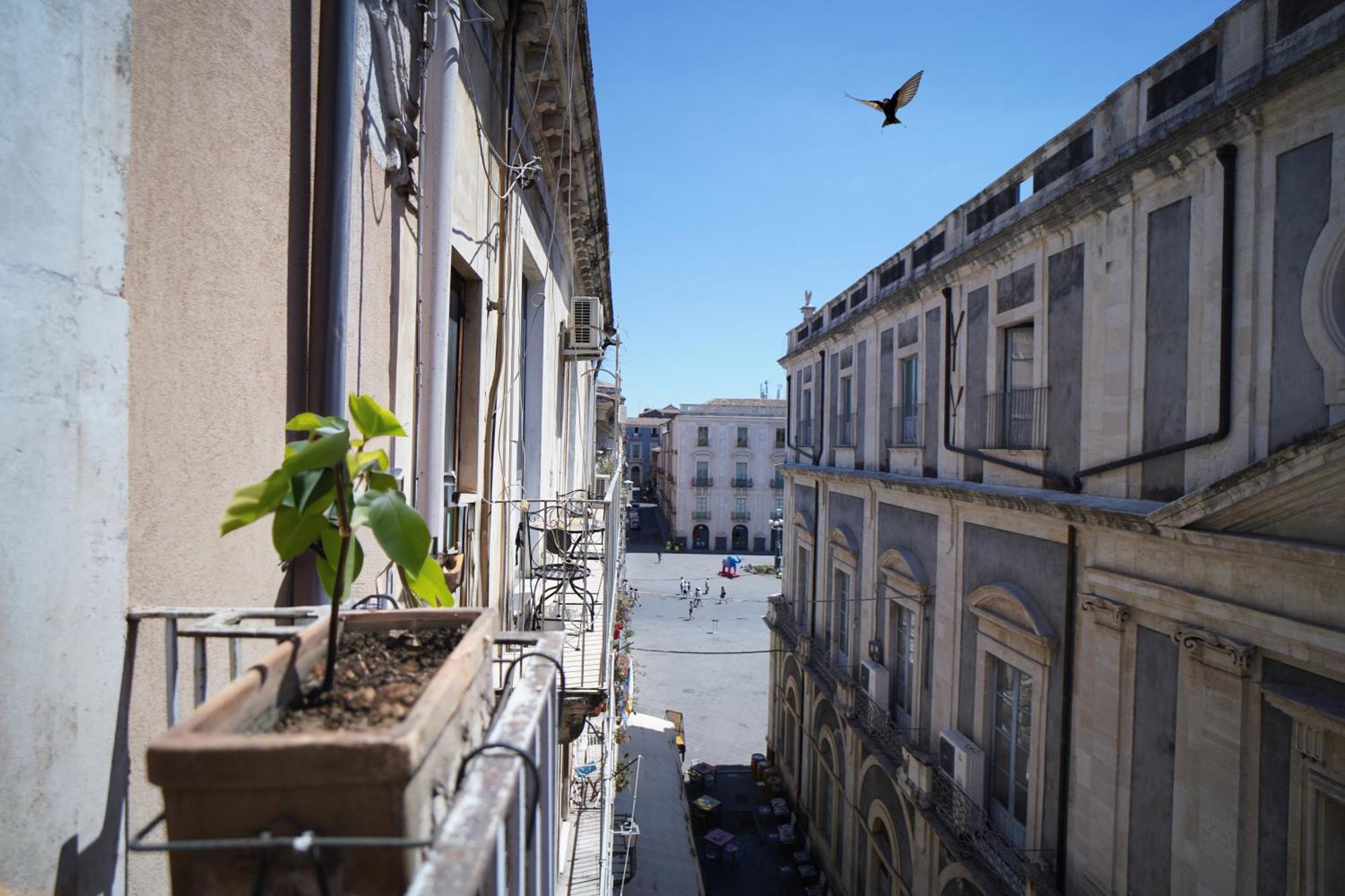 Casa Delle Rondini Apartment