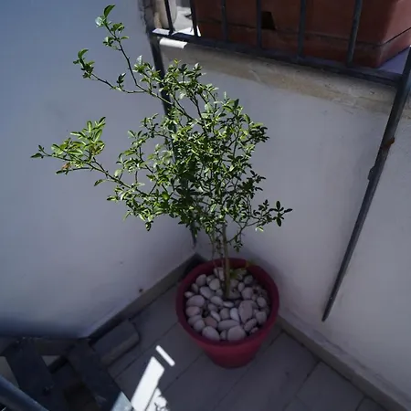 Casa Delle Rondini Apartment Catania Exterior photo